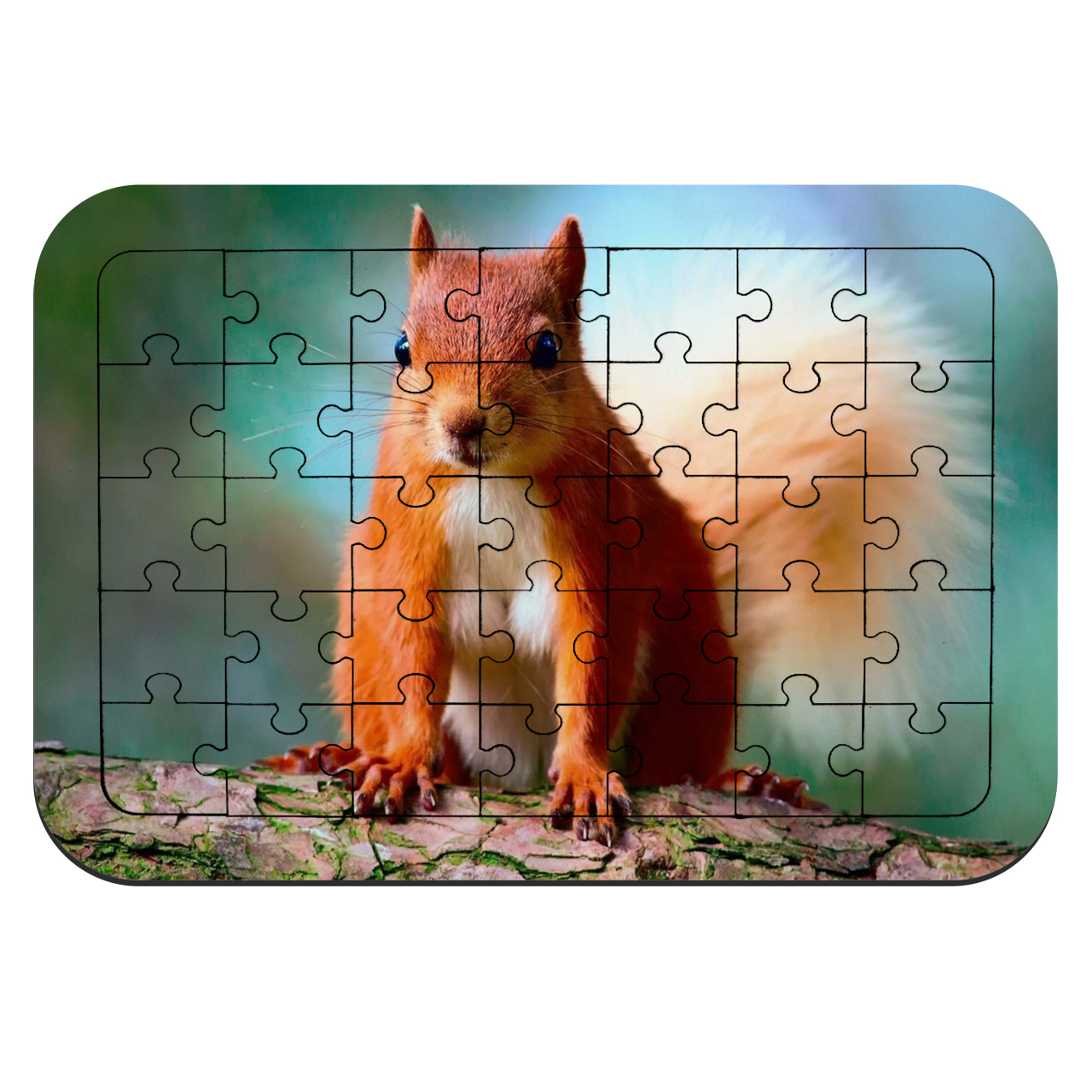 پازل 35 تکه طرح سنجاب مدل NI260