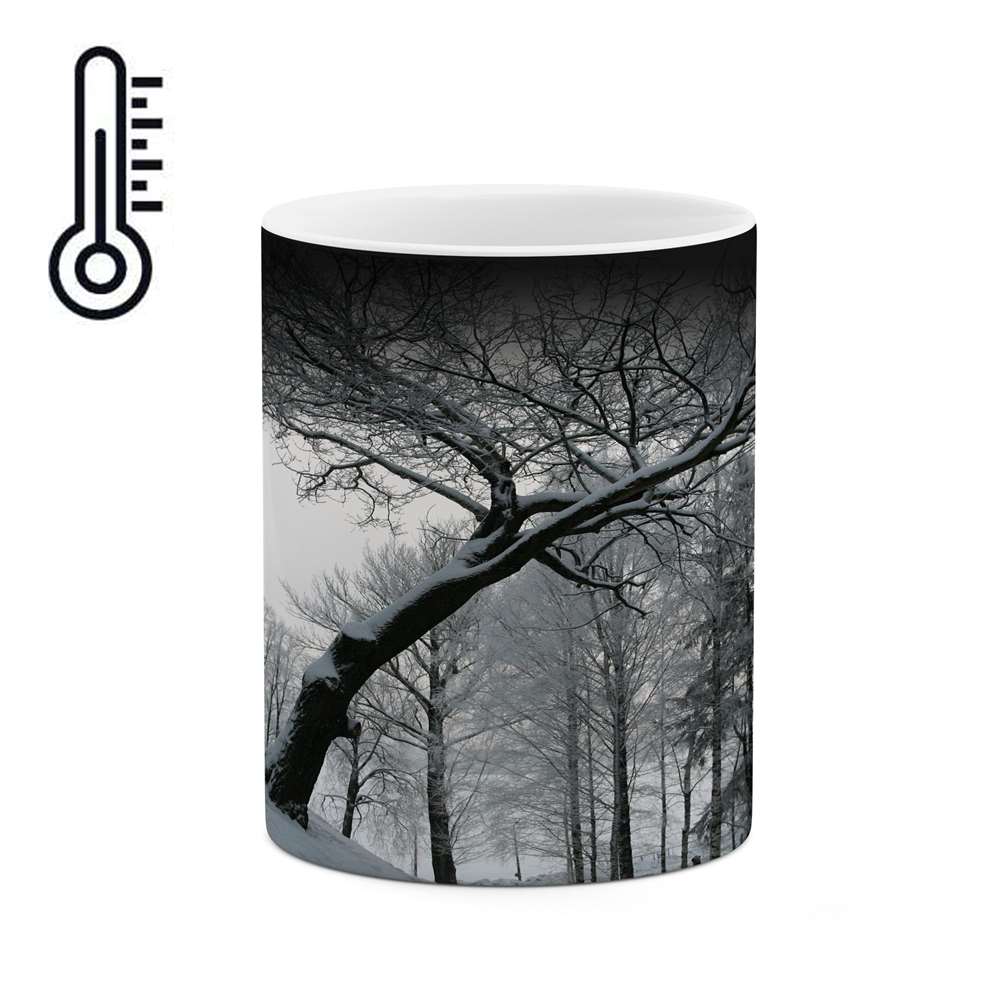 ماگ حرارتی کاکتی طرح منظره برفی مدل mgh14840