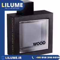 عطر ادکلن دسکوارد2 هی وود سیلور وایند وود 100 میل مردانه