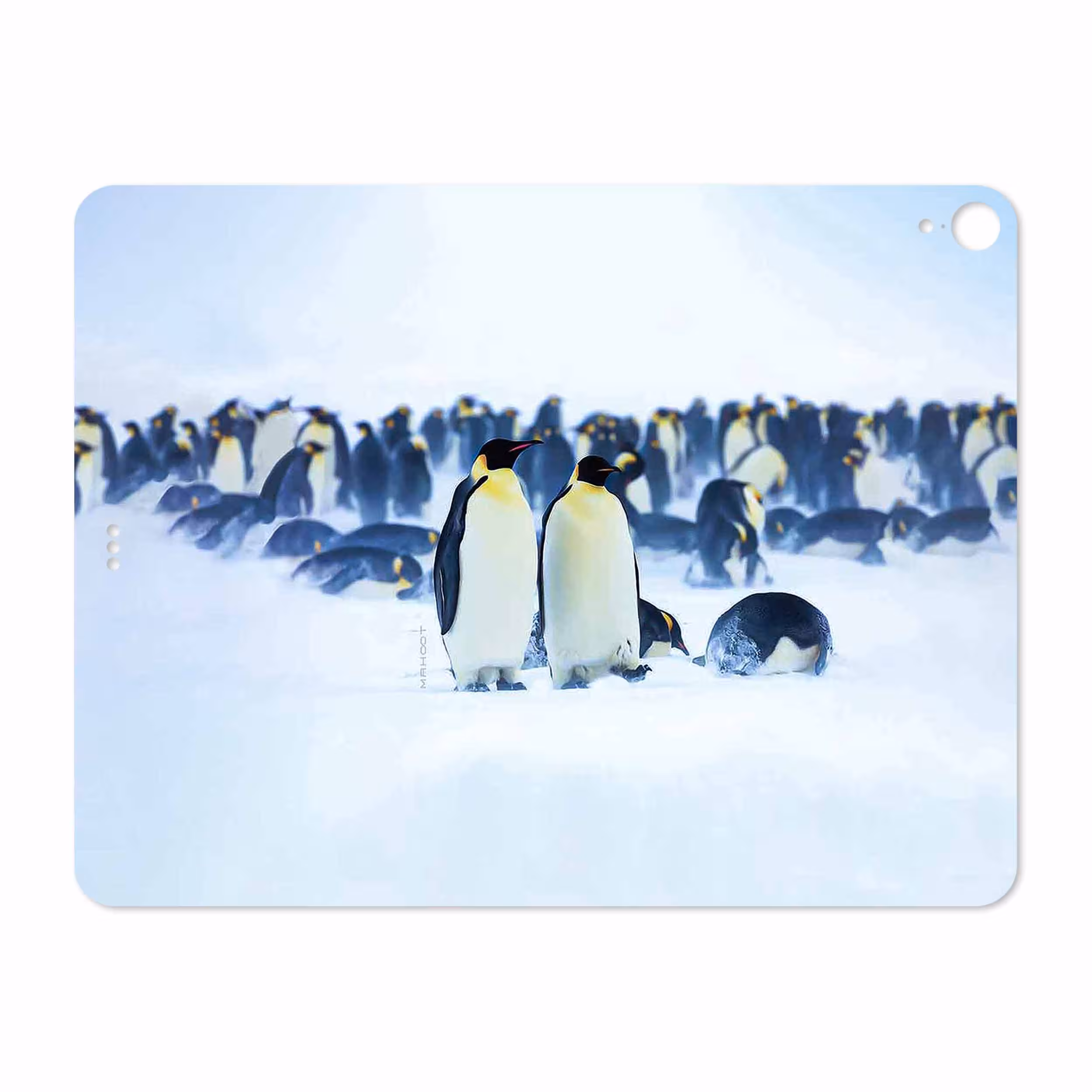 برچسب پوششی ماهوت مدل Penguin مناسب برای تبلت اپل iPad Pro 12.9 (GEN 3) 2018 A1983