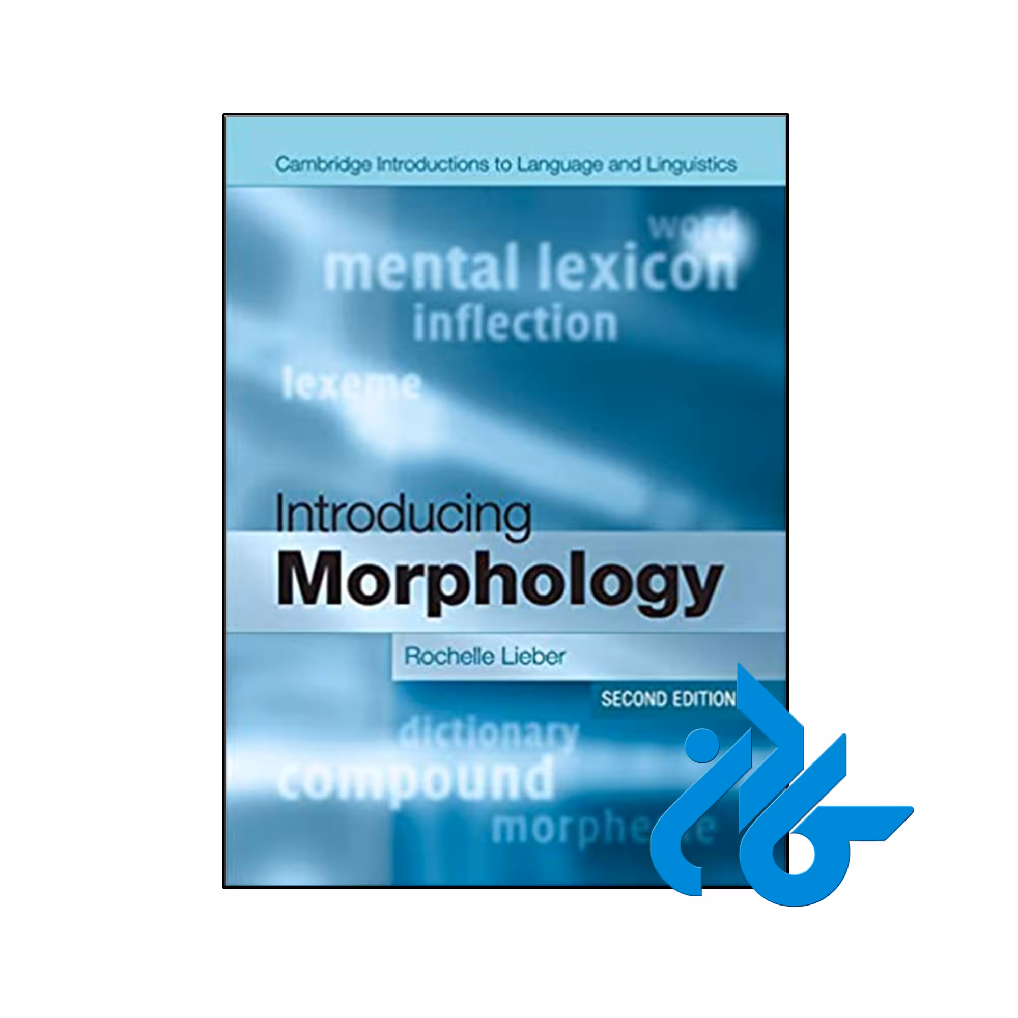 کتاب Introducing Morphology - فروشگاه اینترنتی کـــادن