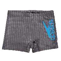 مایو مردانه speedo کد 2290