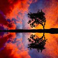 خرید و دانلود عکس Nature-Part-9 کد 37299 | پیک فاکس | Pic Fox