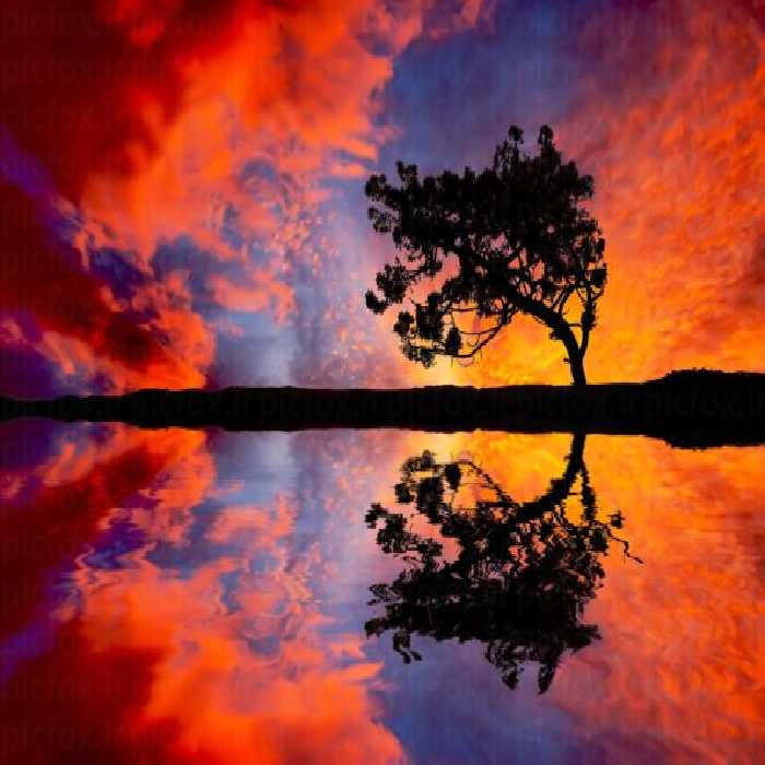 خرید و دانلود عکس Nature-Part-9 کد 37299 | پیک فاکس | Pic Fox