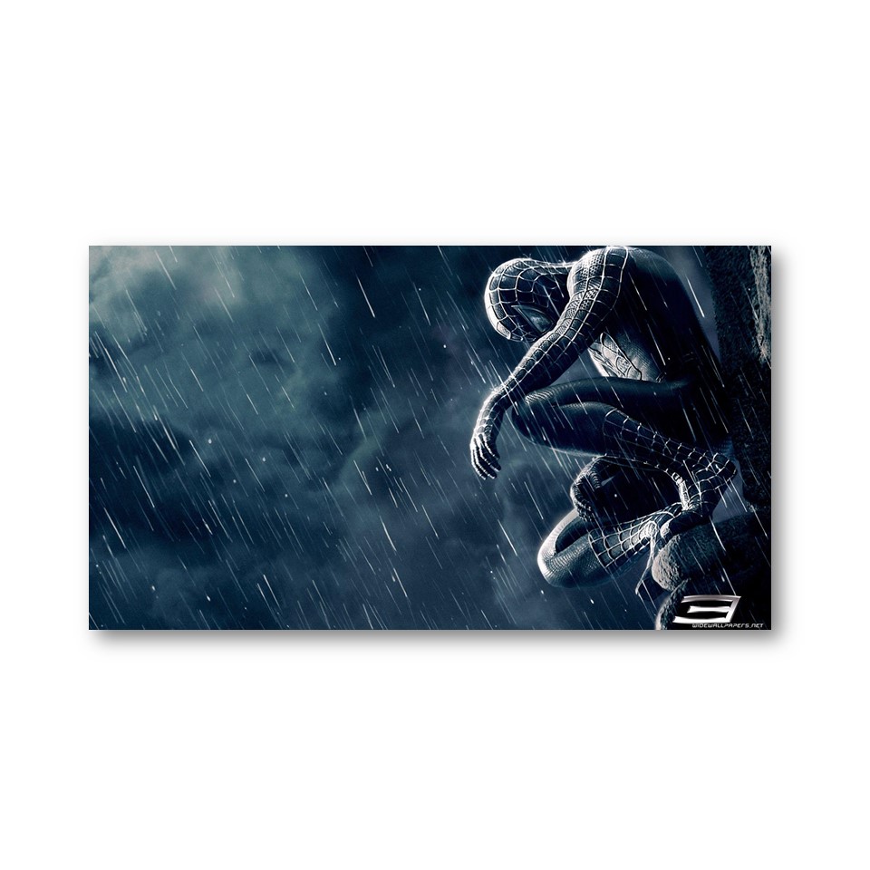 تابلو شاسی مدل مرد عنکبوتی