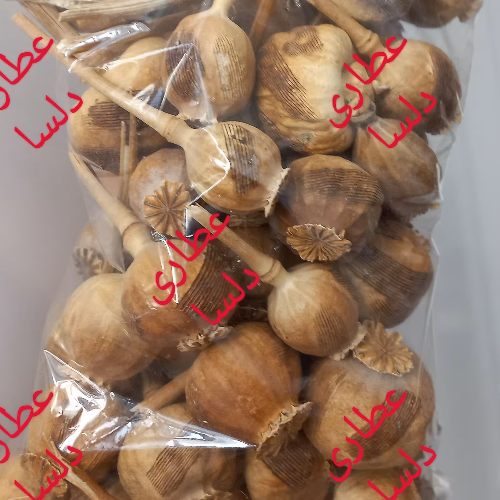 گرز خشخاش افغان سالم 