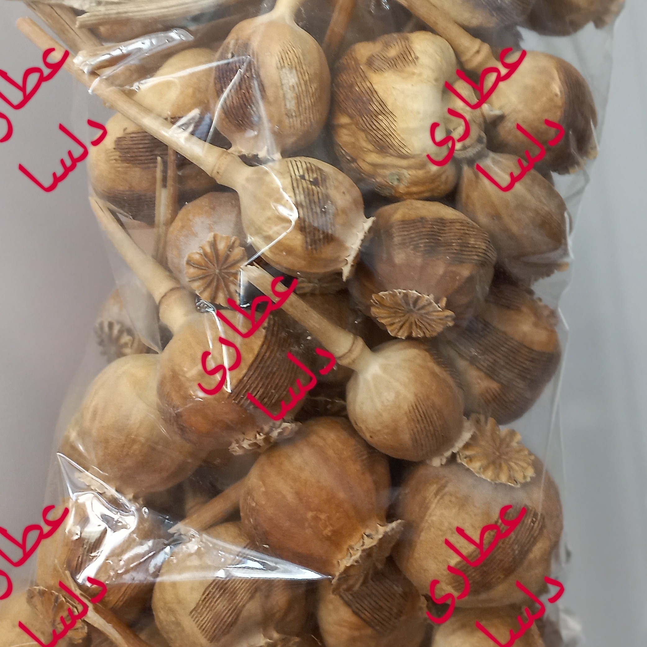 گرز خشخاش افغان سالم