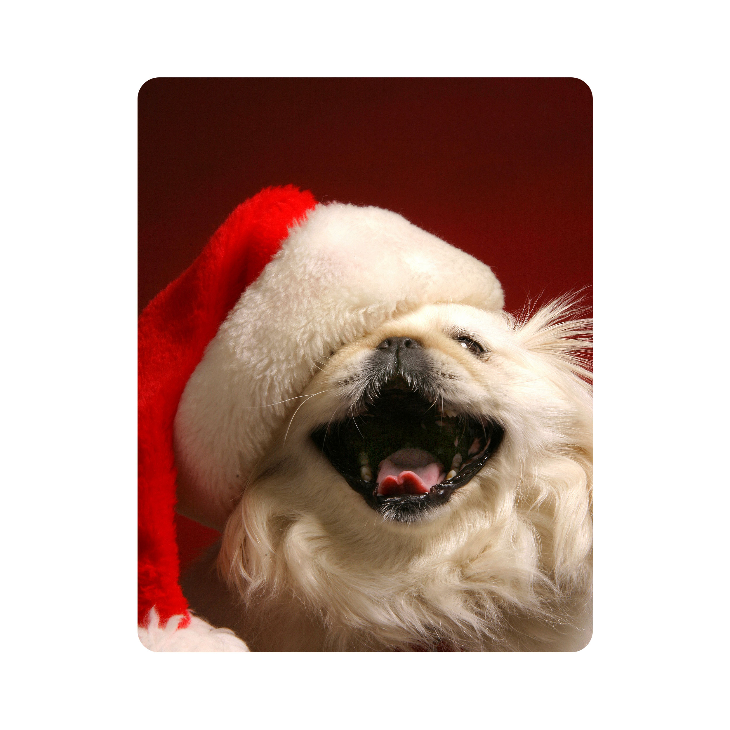 ماوس پد اطلس آبی طرح سگ و کلاه قرمز  مدل T5879