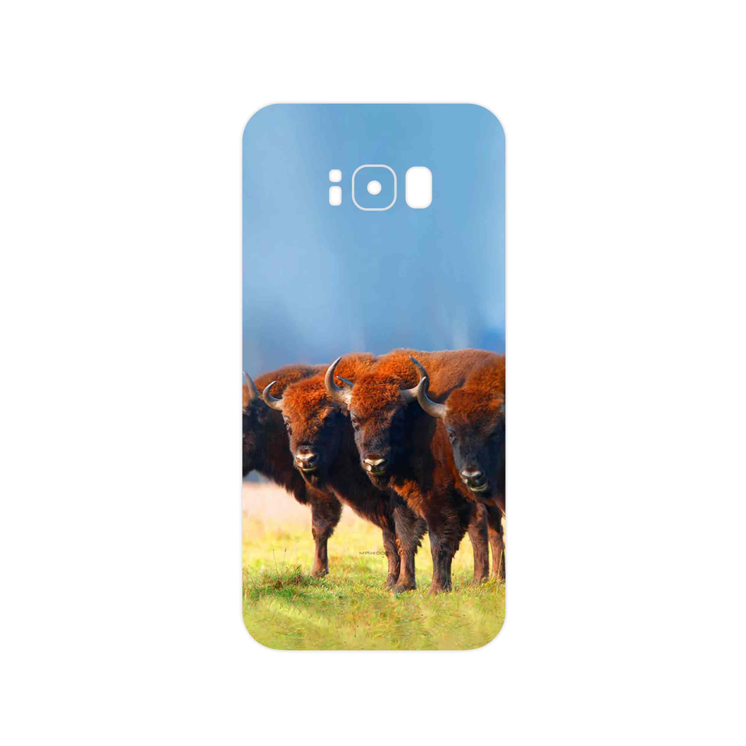 برچسب پوششی ماهوت مدل Buffalo مناسب برای گوشی موبایل سامسونگ Galaxy S8 Plus