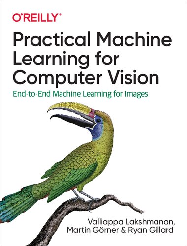خرید و دانلود نسخه کامل کتاب Practical Machine Learning for Computer Vision: End-to-End Machine Learning for Images
