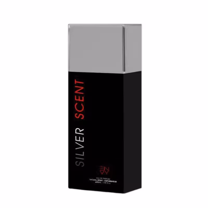 عطر جیبی مردانه ان وی مدل سیلور سنت حجم 30 میلی لیتر