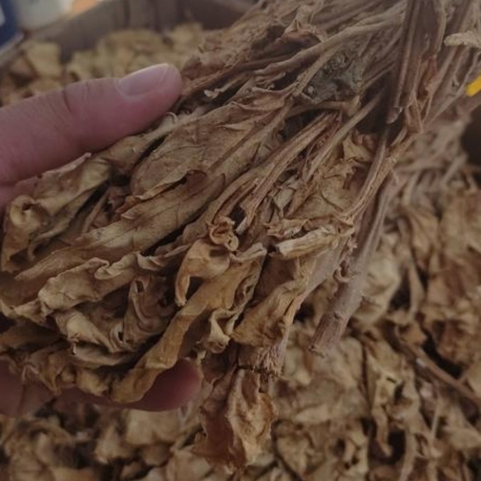 پاپر یک کیلو یی  1402