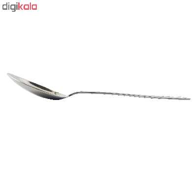 قاشق آجیل خوری نیوهوم کد 0800 طرح هخامنش