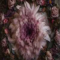 بک دراپ عکاسی با برگ و گل صورتی | گرافیک با طعم تربچه