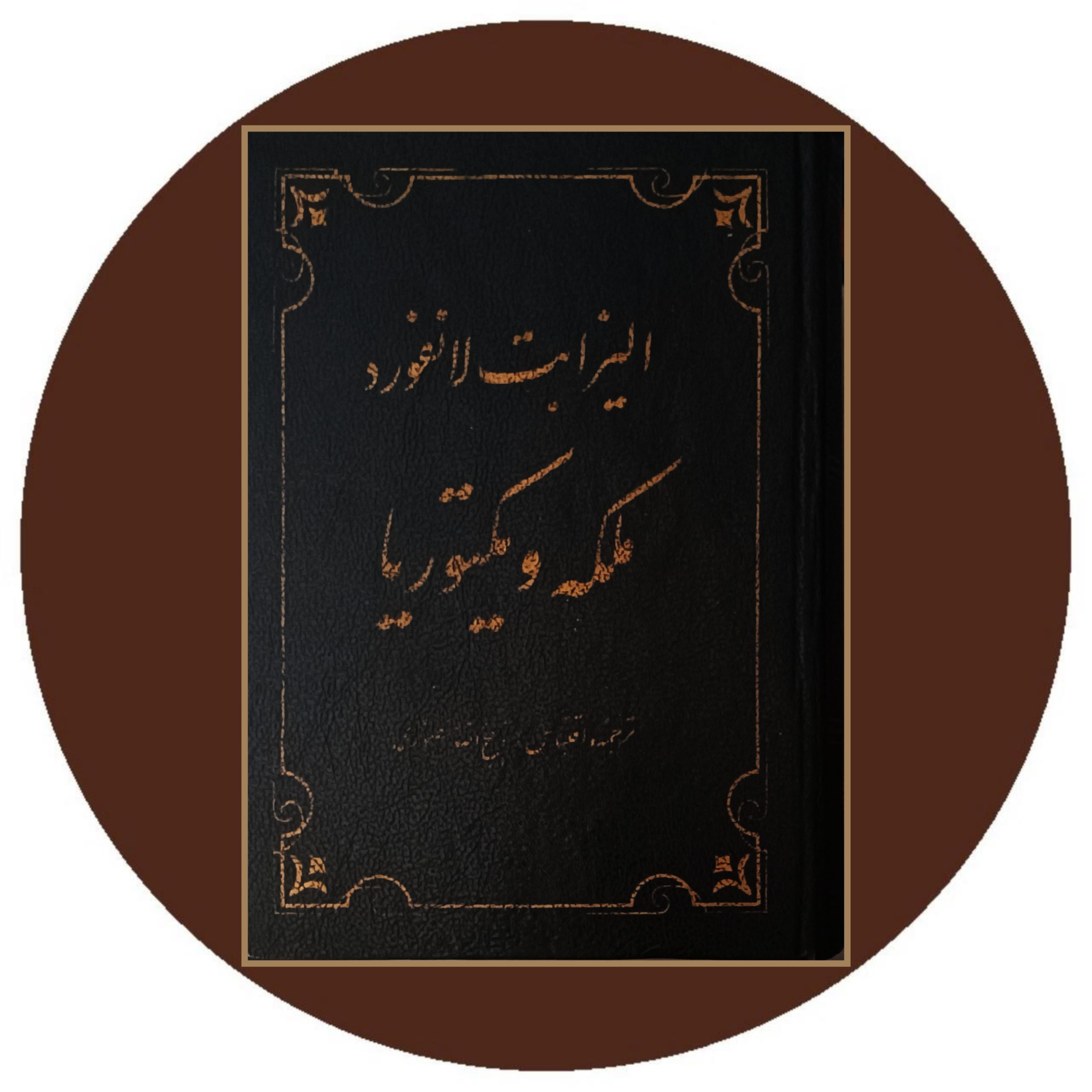 کتاب ملکه ویکتوریا - خرید با تخفیف چهل درصد از کتاب دایره قهوه ای
