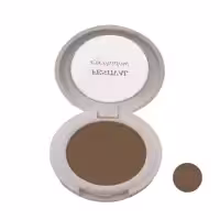 سایه چشم فستیوال شماره 19F