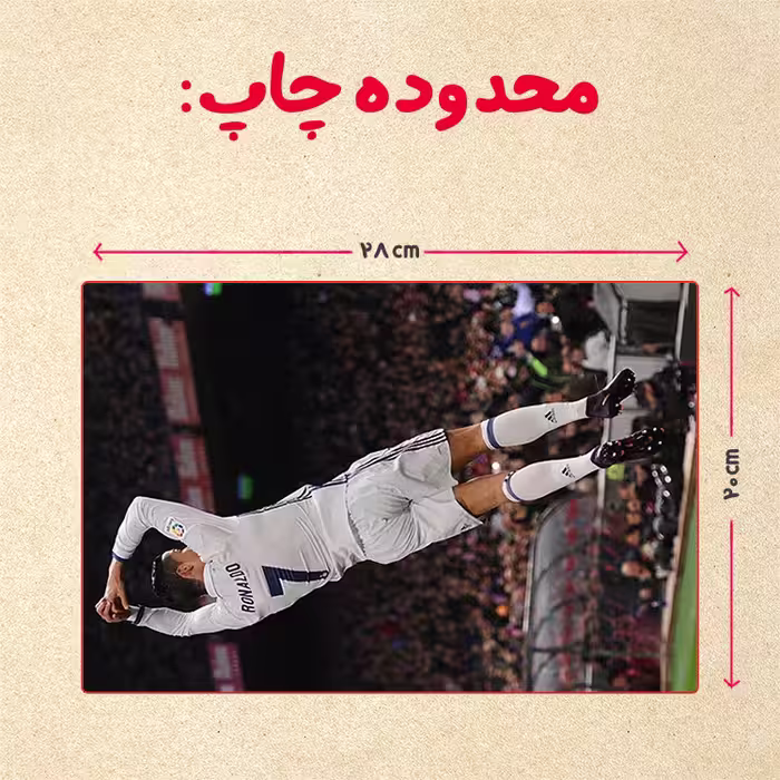پازل 35 تکه مدل رونالدو کد 533