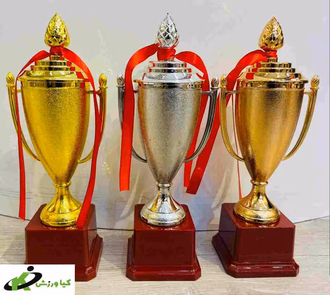 کاپ قهرمانی کد G100