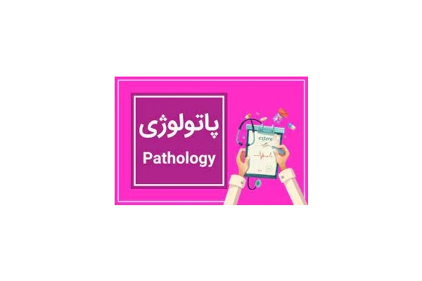 جزوه پاتو عملی دانشگاه های علوم پزشکی - کتابخانه مجازی واتیکان