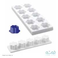 قالب میگنوپورشن گل سورناپارت