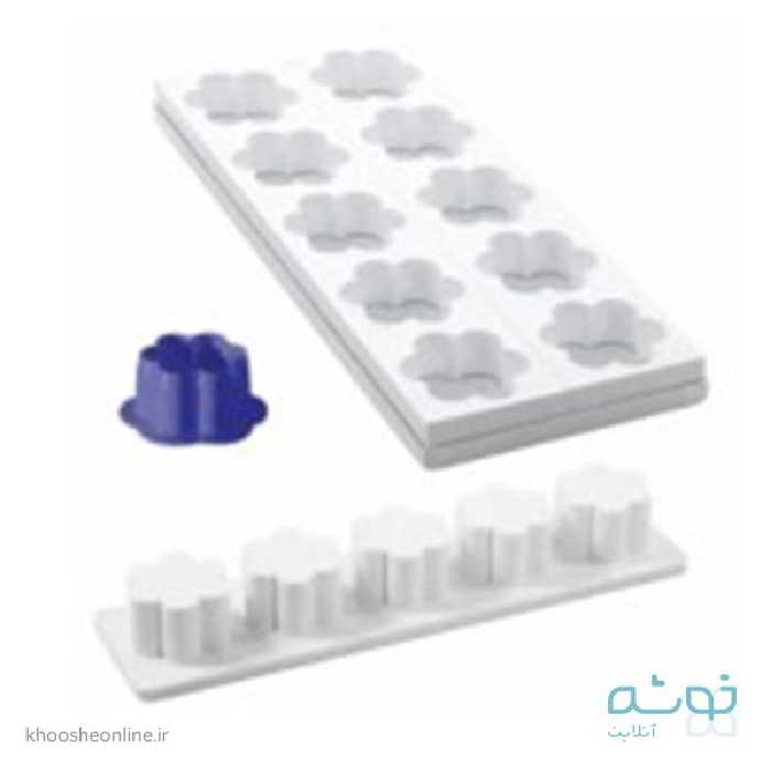 قالب میگنوپورشن گل سورناپارت