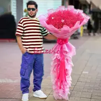 گل غول پیکر ژیپسوفیلا قرمز