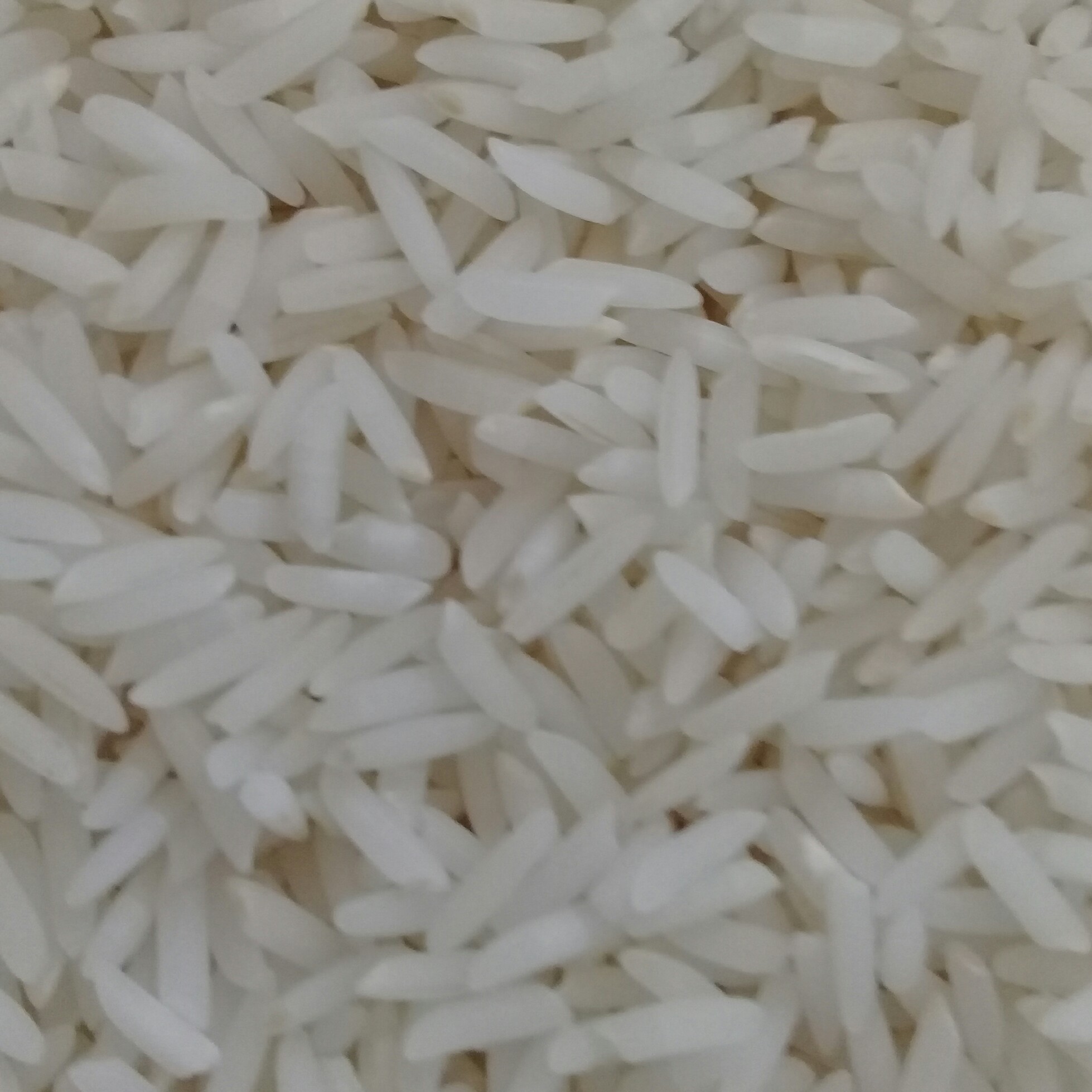 برنج دمسیاه اعلا