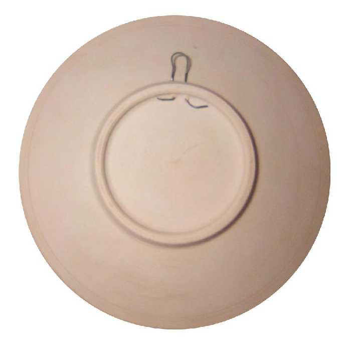 بشقاب دیوار کوب سفالی طرح  نگین کد DSD01