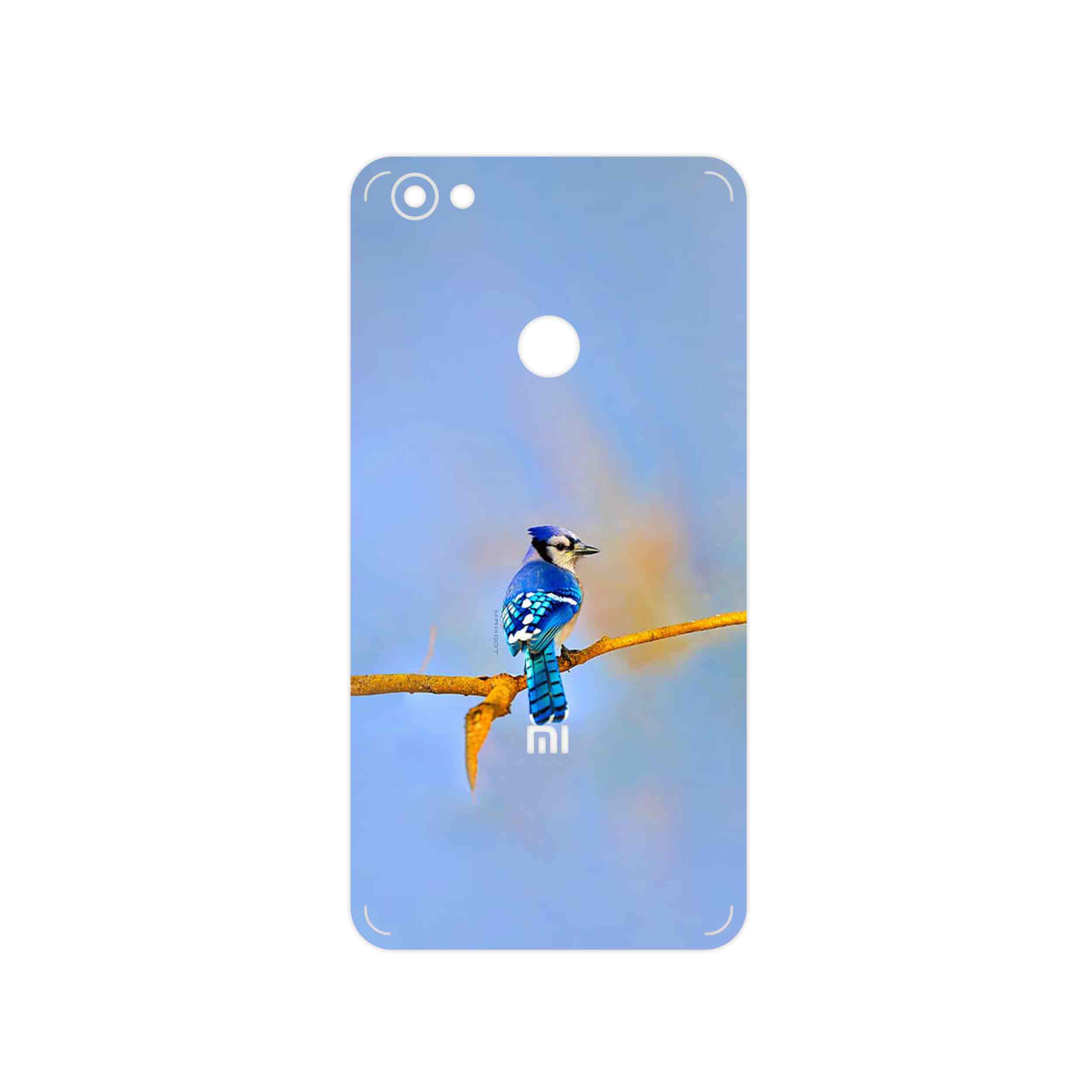 برچسب پوششی ماهوت مدل Cyanocitta cristata مناسب برای گوشی موبایل شیائومی Redmi Note 5A Prime