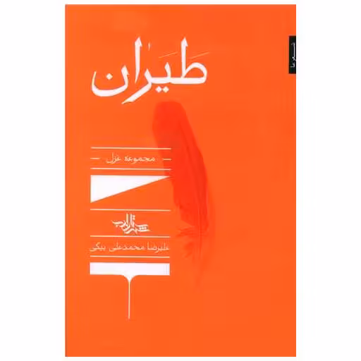 کتاب طیران اثر علیرضا محمدعلی بیگی