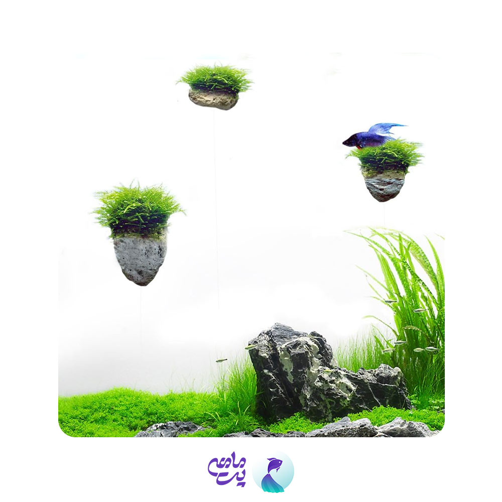 سنگ تزئینی معلق آکواریومی سایز بزرگ