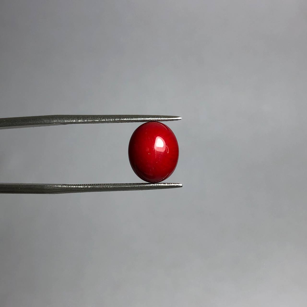 نگین مرجان سرخ رنگ شده 240579