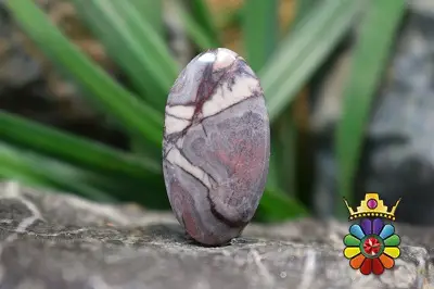 جاسپر چینی(پورسلاین جاسپر)