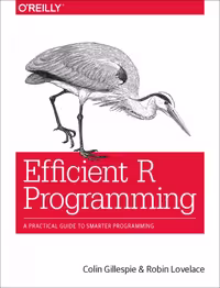 خرید و دانلود نسخه کامل کتاب Efficient R Programming: A Practical Guide to Smarter Programming