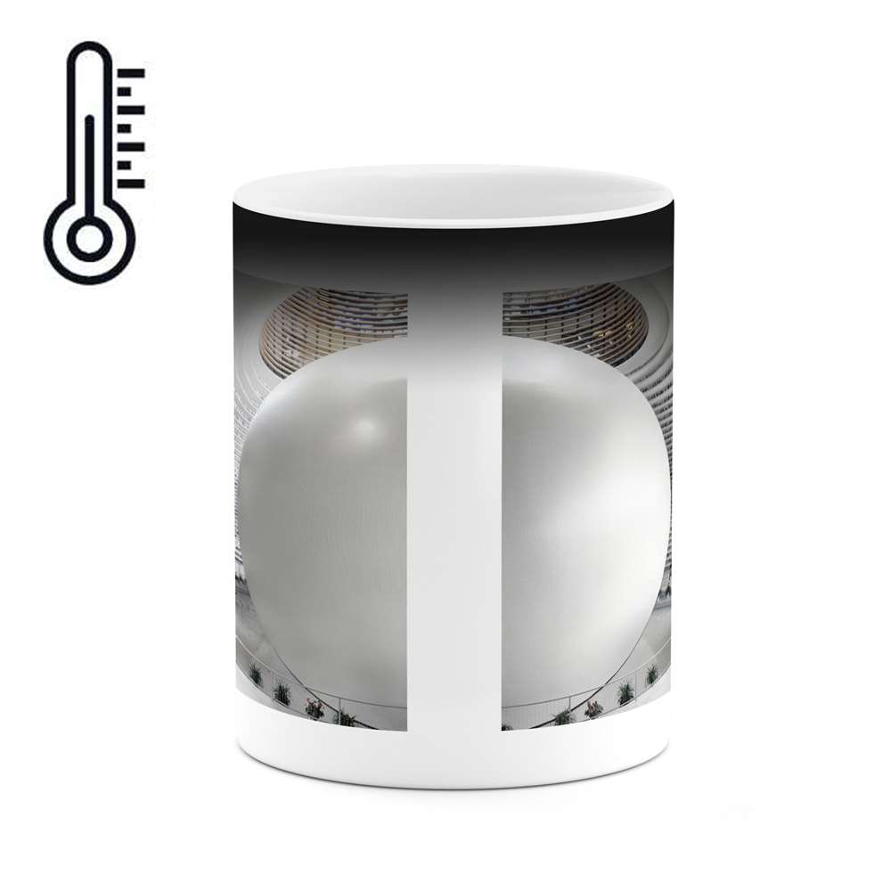 ماگ حرارتی کاکتی طرح فانتزی مدل mgh15215