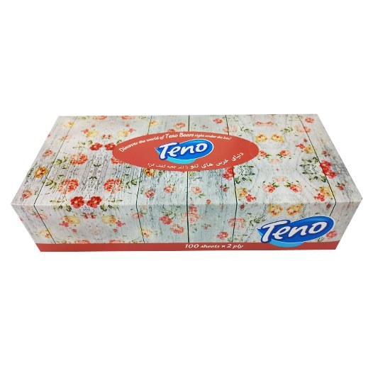 دستمال کاغذی 100 برگ 2 لایه تنو (طرح تصادفی) 