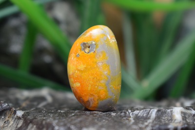 جاسپر زنبوری