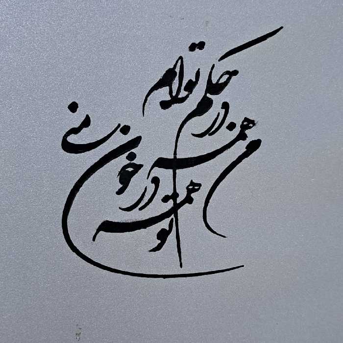 شابلون من همه در حکم تو ام تو همه در خون منی