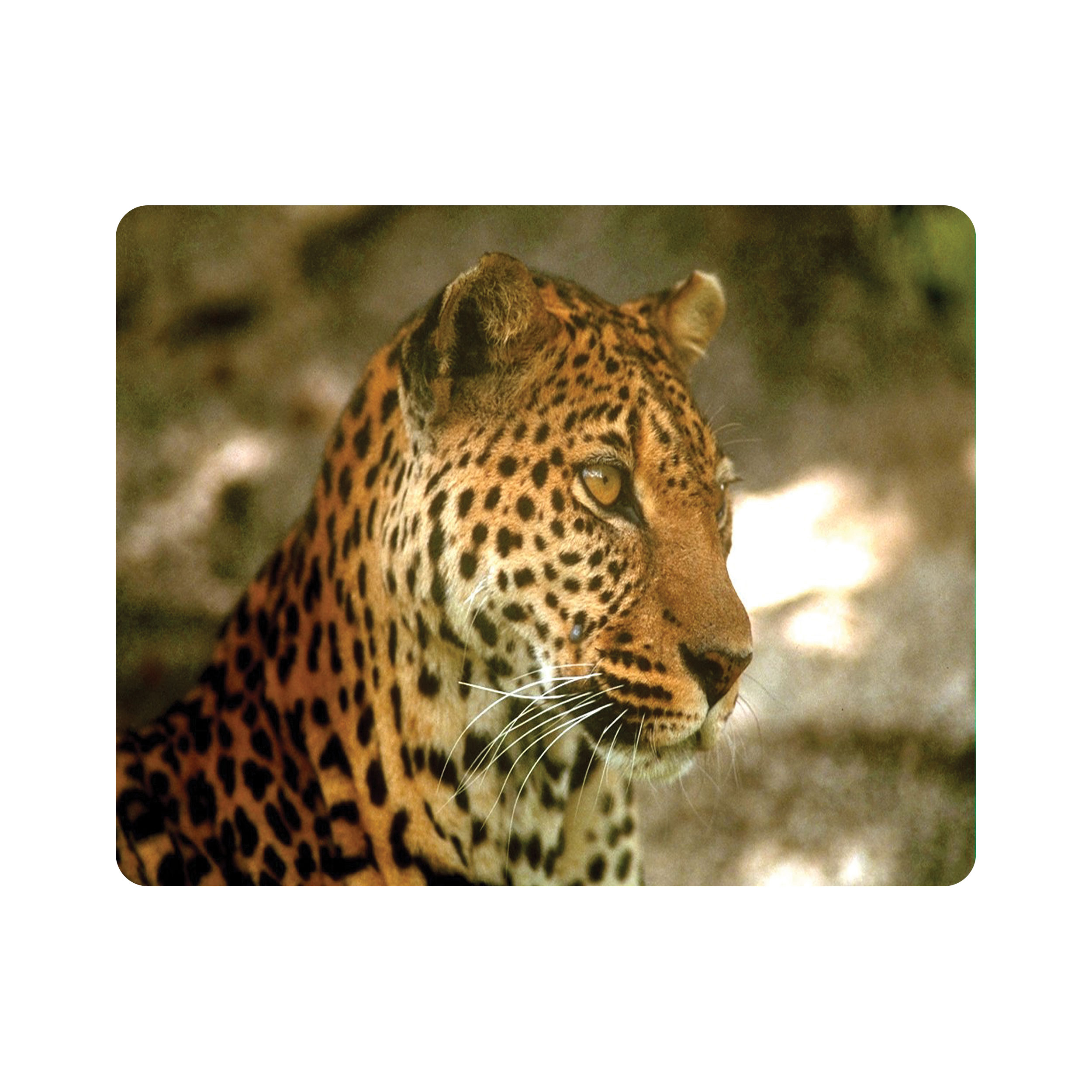 ماوس پد اطلس آبی طرح ببر مدل T7394