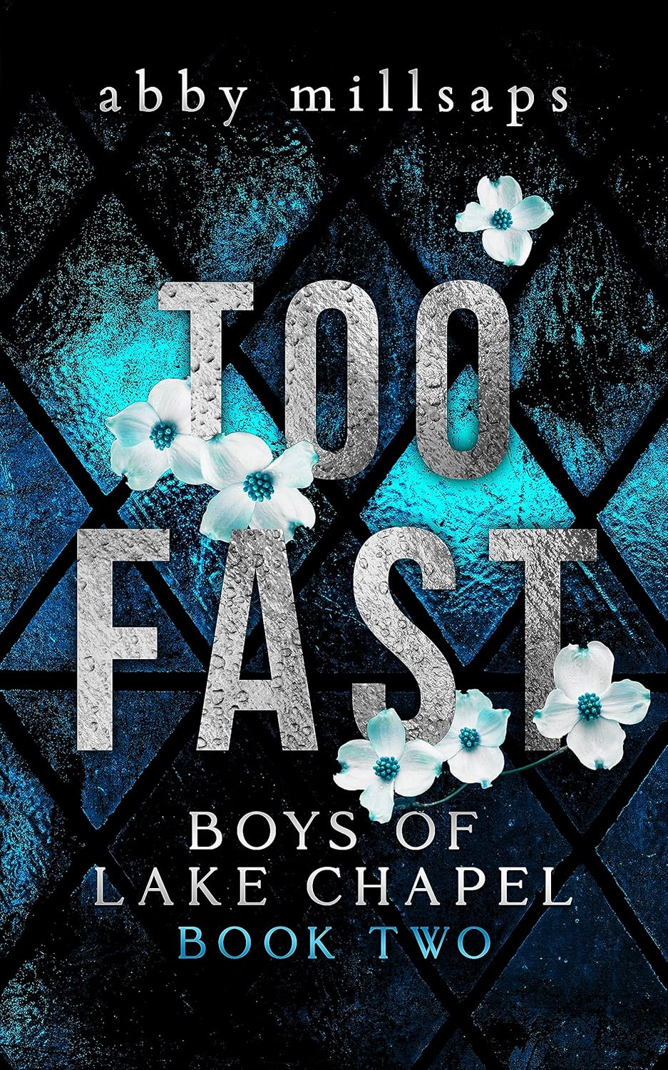 Too Fast (Boys of Lake Chapel Book 2)