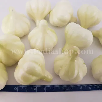 سیر سایز بزرگ بسته ای