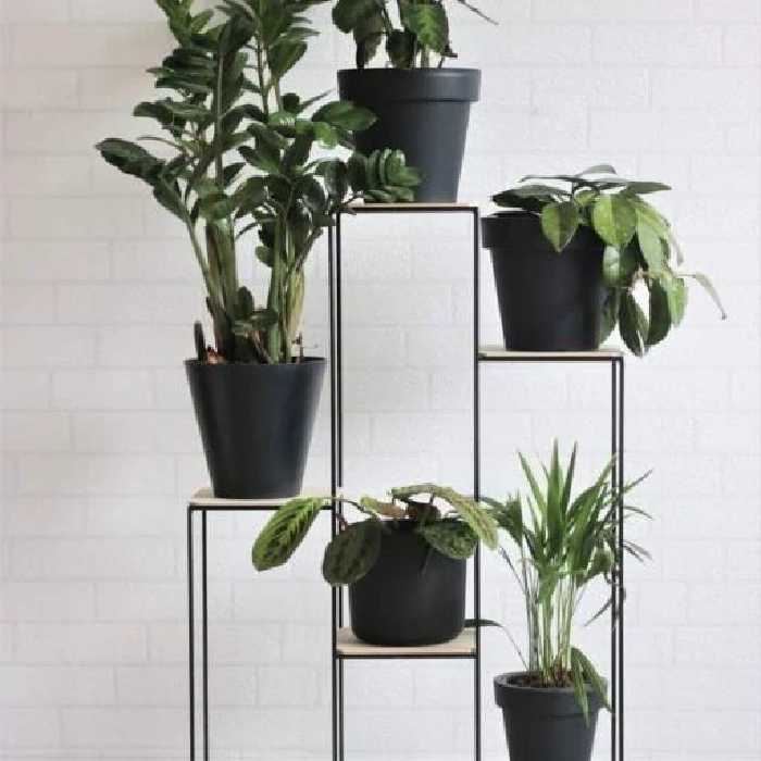 استند گل طرح آدینا(پسکرایه)