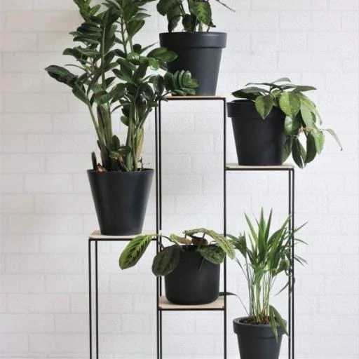 استند گل طرح آدینا(پسکرایه)