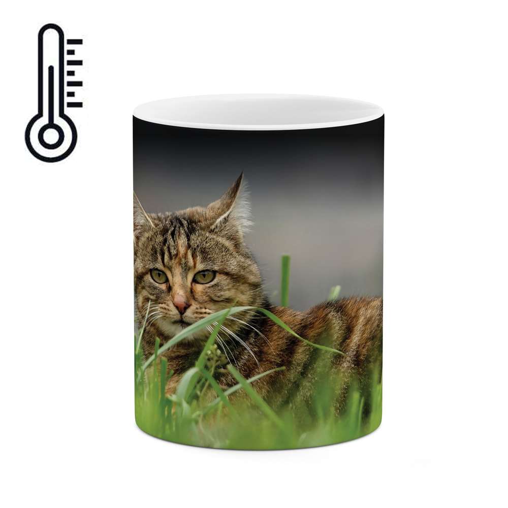 ماگ حرارتی طرح گربه  مدل mgph10087