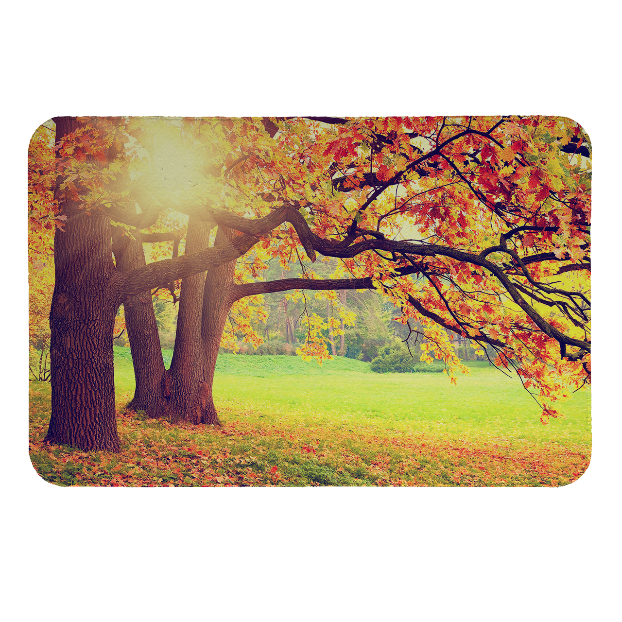  رطوبت گیر کنار سینک کد 132