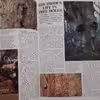 كتاب The Ever-changing Woodlands اثر جمعي از نويسندگان انتشارات The Living Countryside