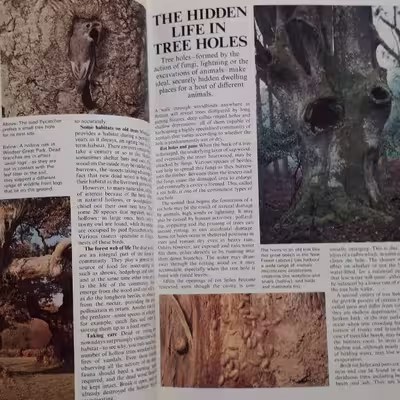 كتاب The Ever-changing Woodlands اثر جمعي از نويسندگان انتشارات The Living Countryside