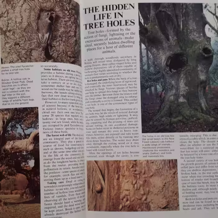 كتاب The Ever-changing Woodlands اثر جمعي از نويسندگان انتشارات The Living Countryside
