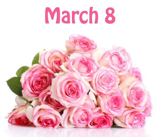 خرید و دانلود عکس Flower-Part-2 کد 17692 | پیک فاکس | Pic Fox