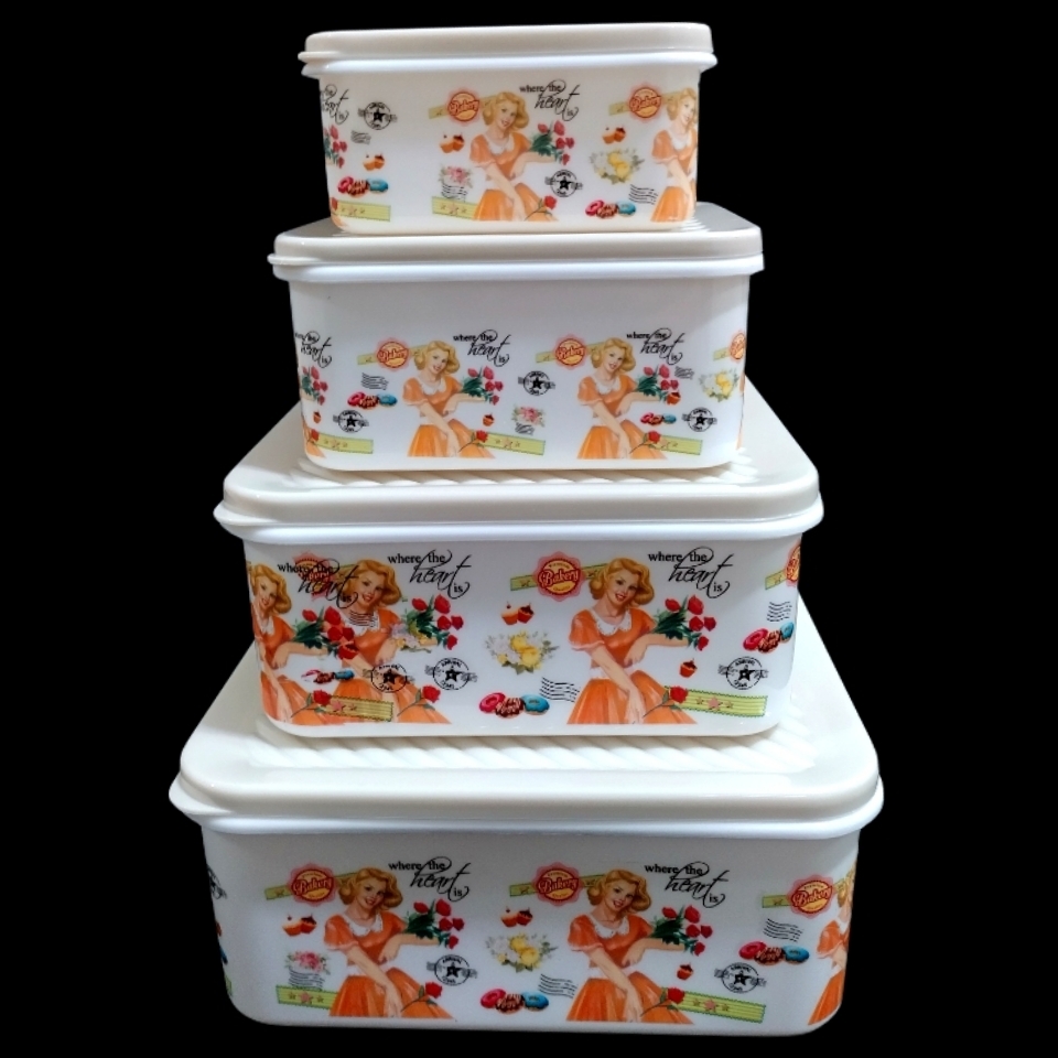 ظرف نگهدارنده مدل Y113 مجموعه 4 عددی 